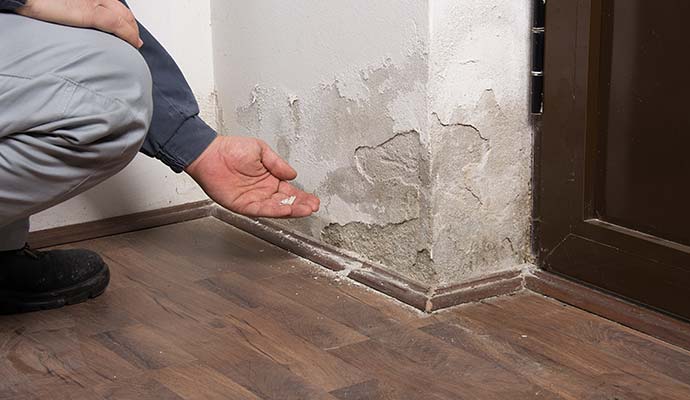 Technician inspecting water damaged plaster wall