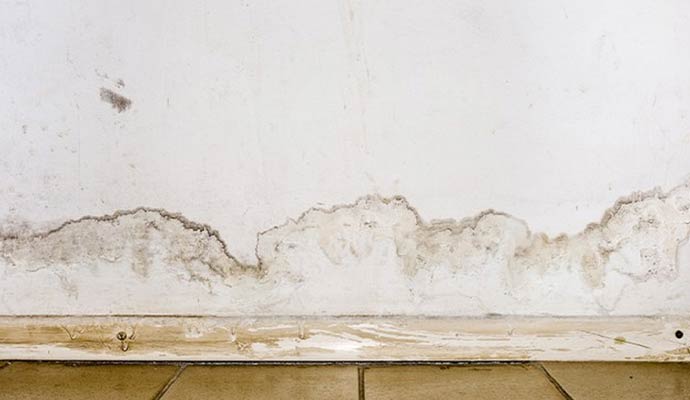 Water damaged drywall