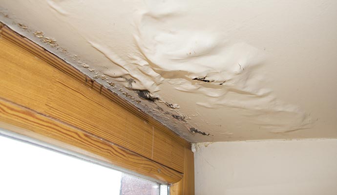 Water damaged ceiling