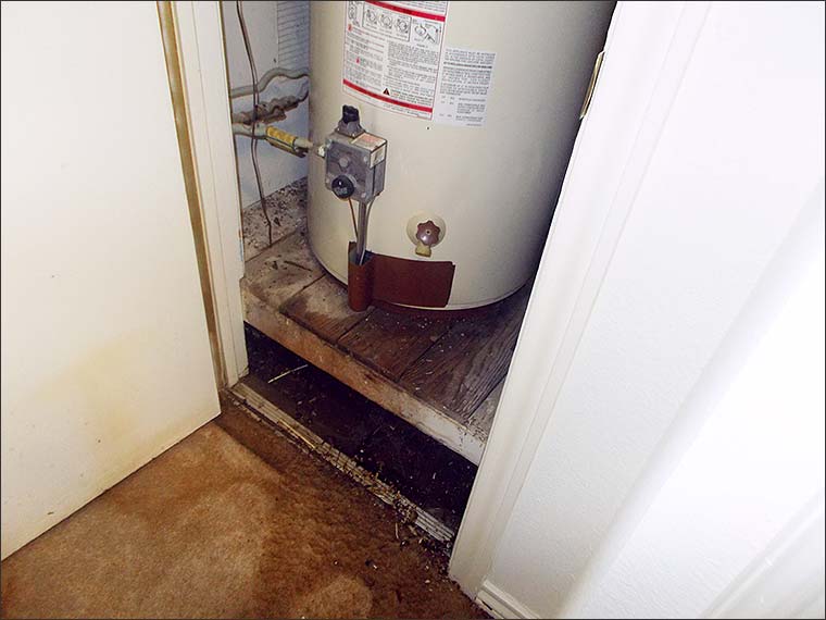 Water Heater Overflow