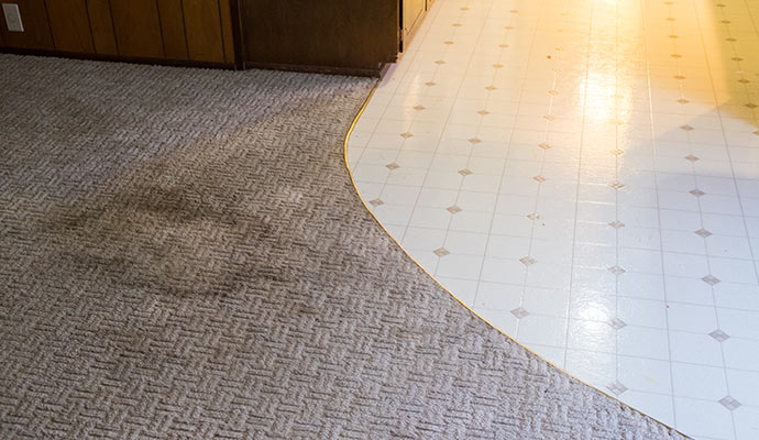 Removal of Floor Stains from Water Damaged Carpet in DFW