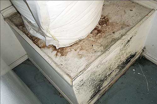 Water Heater