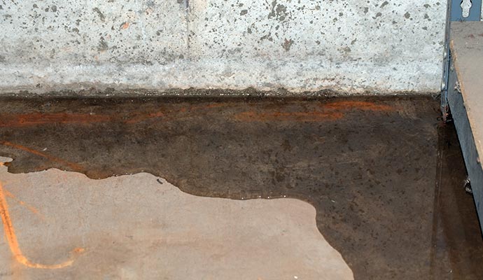 Basement floor with standing water and rust stains along concrete wall base