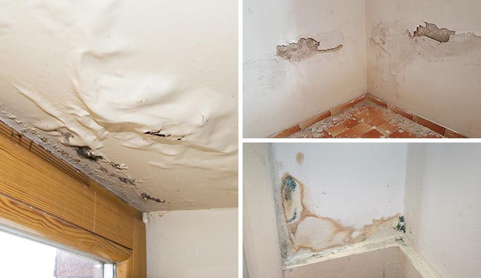 Collage of ceiling and wall affected by water damage with peeling paint, mold, and water stains