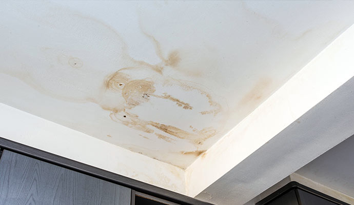 Ceiling showing visible mold growth and water marks caused by a roof leak