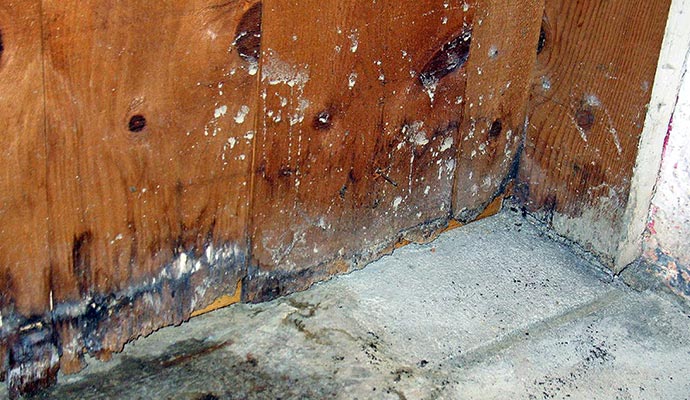 Significant water damage and visible mold on a wooden wall and floor
