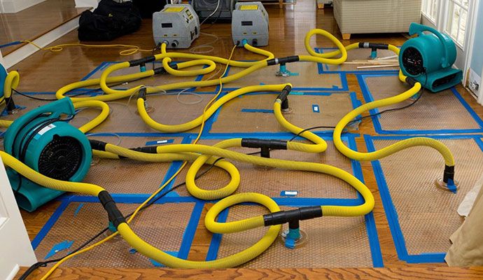 Water extraction service using specialized equipment for restoration