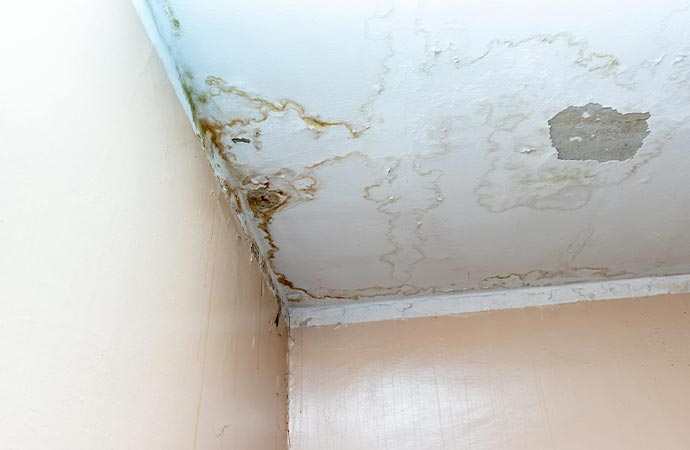 Water damage restoration service