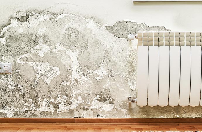 Mold Structural Damage Restoration in D/FW | Dalworth