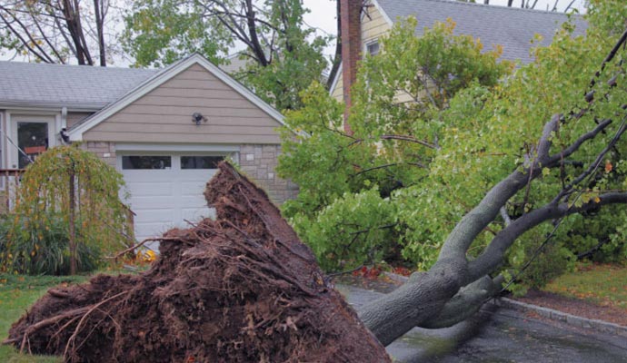 Post-Storm Cleanup Service in DFW  | Dalworth Restoration