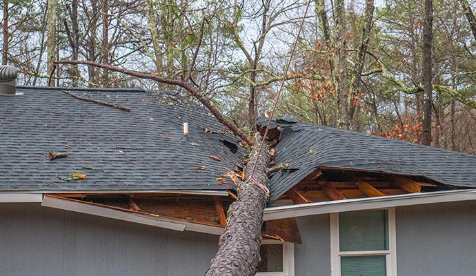 Wind Damaged Siding